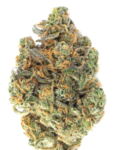 5 PACK PRE-ROLLS - SHORTIES - NOVARINE