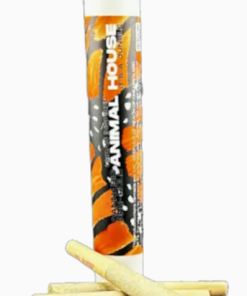 3 PACK INFUSED PRE-ROLLS - GAZZURPLE