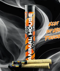 2 PACK INFUSED PRE-ROLLS - GALACTIC GUAVA
