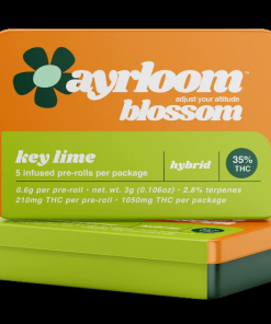 5 PACK INFUSED PRE-ROLLS - KEY LIME