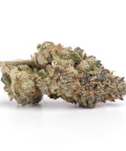 Blueberry Cheesecake